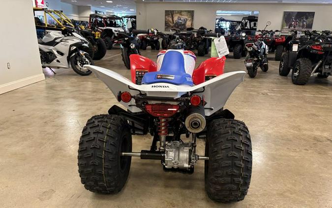 2025 Honda TRX250X