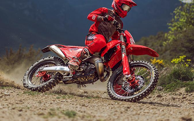 2025 GAS GAS EC 250 - 225033