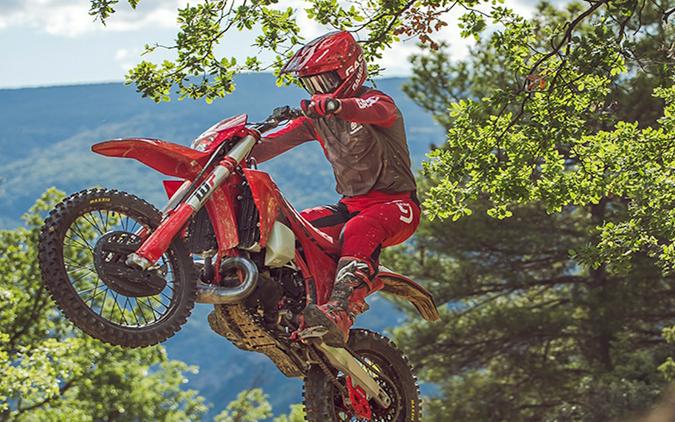 2025 GAS GAS EC 250 - 225033