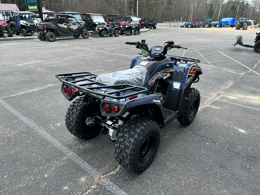 2024 Kawasaki Brute Force 300