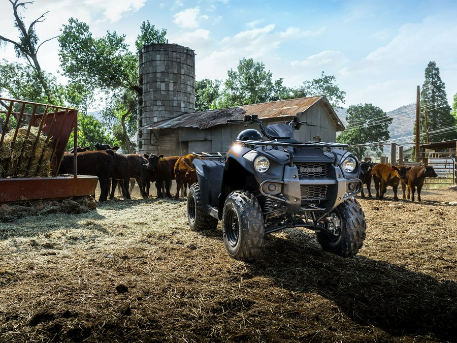 2024 Kawasaki Brute Force 300