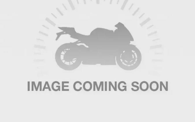 2019 BMW RNINET SCR