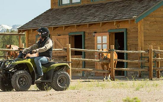 2016 Honda FourTrax Rincon