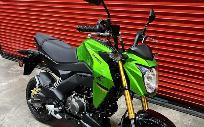 2024 Kawasaki Z125 PRO