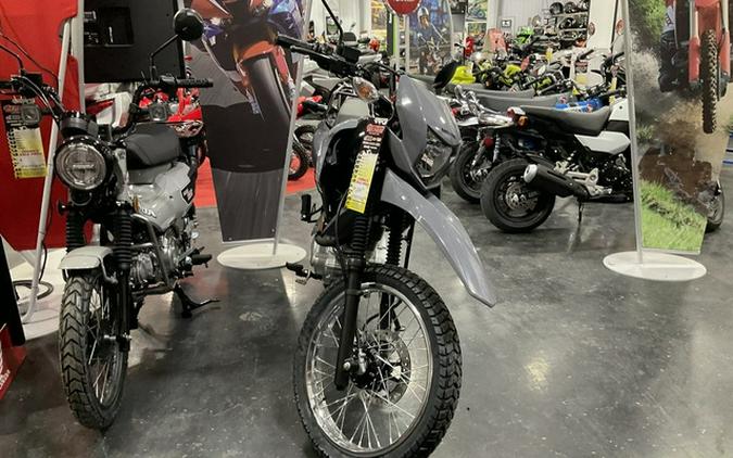 2025 Honda XR 150L