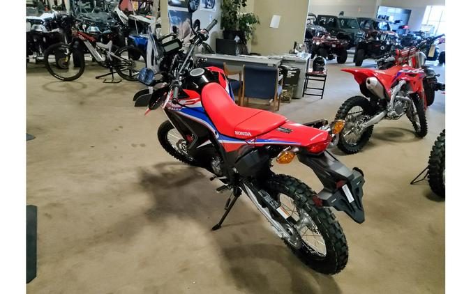 2024 Honda CRF300L RALLY ABS