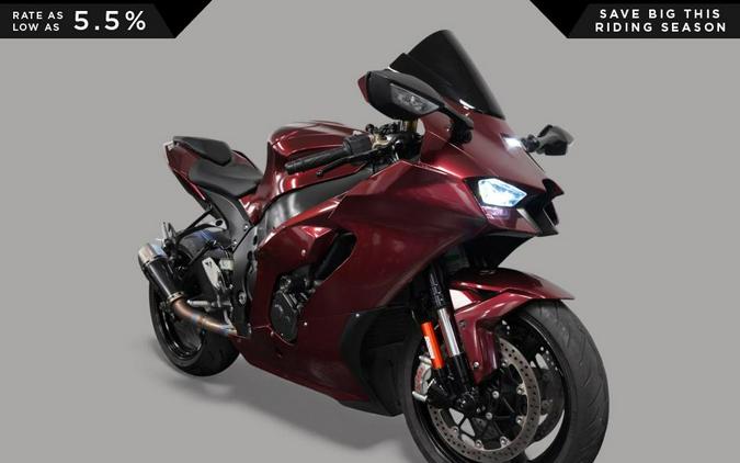 2021 Kawasaki NINJA ZX-10R