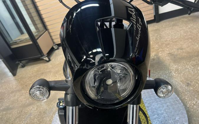 2025 Harley-Davidson Nightster Special