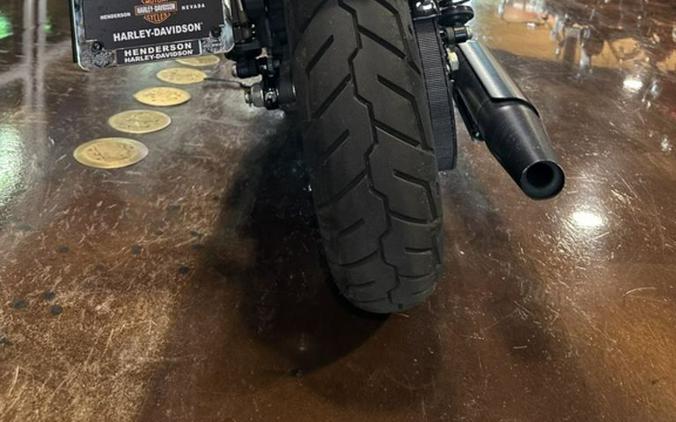 2020 Harley-Davidson Sportster® Iron 883™