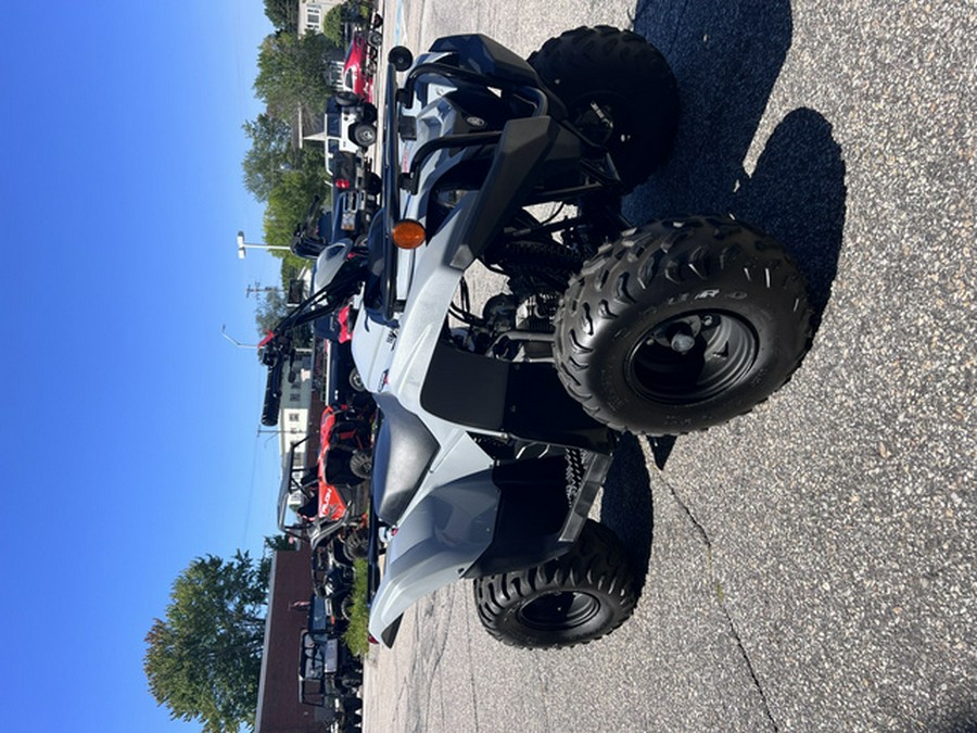 2021 Yamaha Grizzly 90