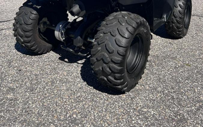 2021 Yamaha Grizzly 90