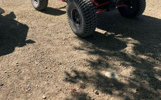 2019 Polaris RZR RS1
