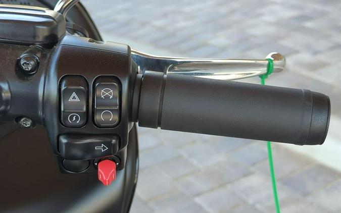 2024 Harley-Davidson® FLTRXP