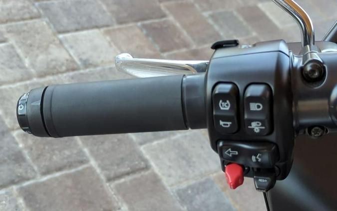 2024 Harley-Davidson® FLTRXP
