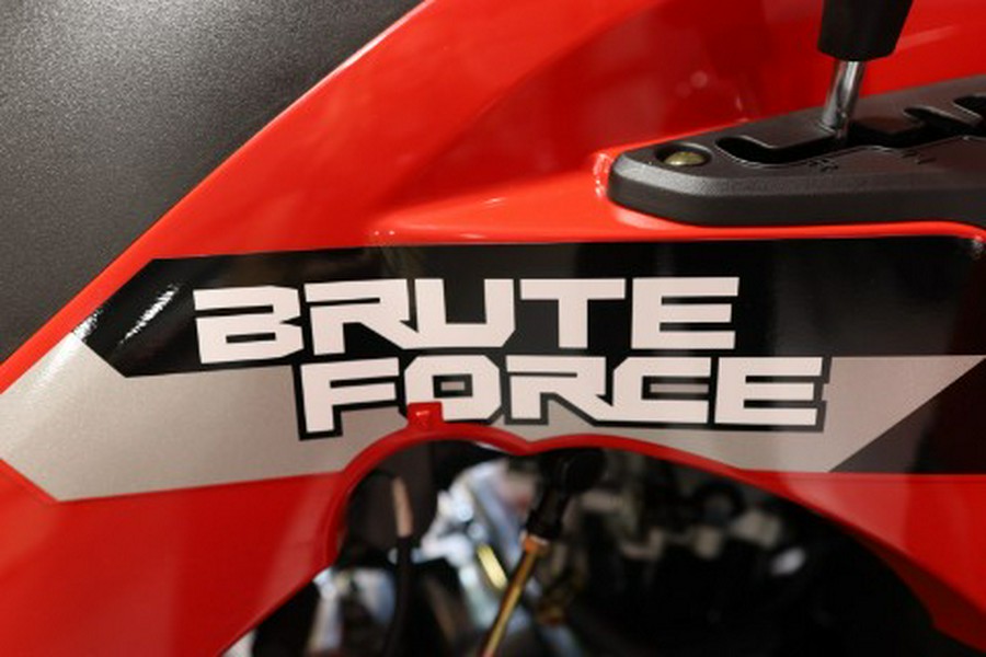 2026 Kawasaki Brute Force® 300