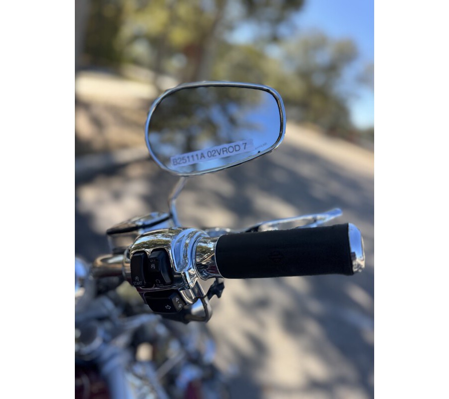 2002 Harley-Davidson® V-Rod®