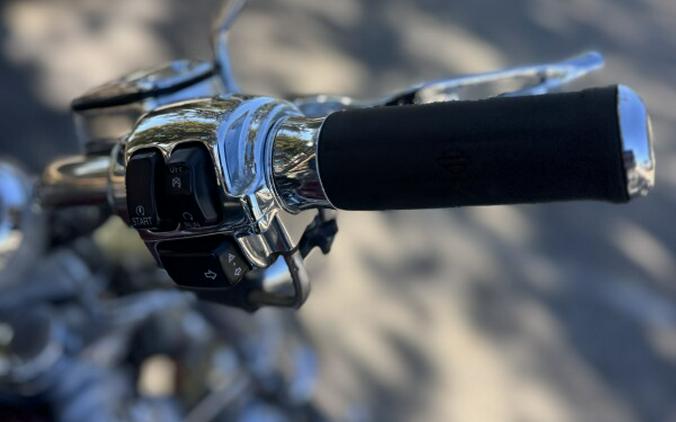 2002 Harley-Davidson® V-Rod®