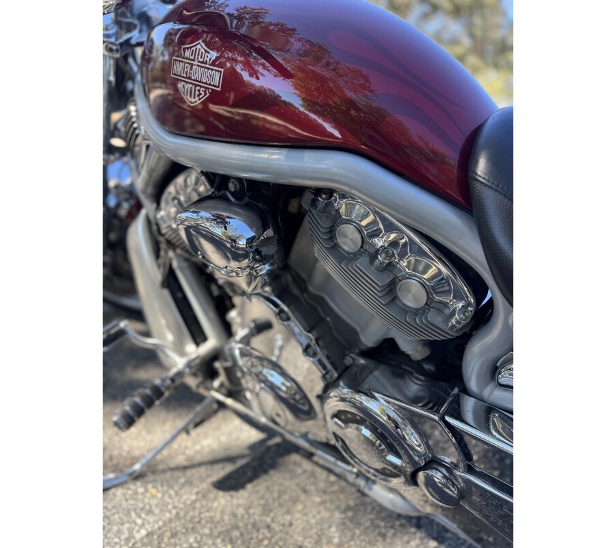 2002 Harley-Davidson® V-Rod®