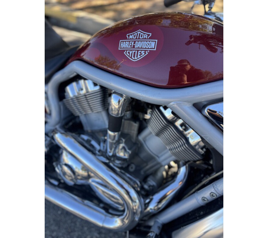 2002 Harley-Davidson® V-Rod®