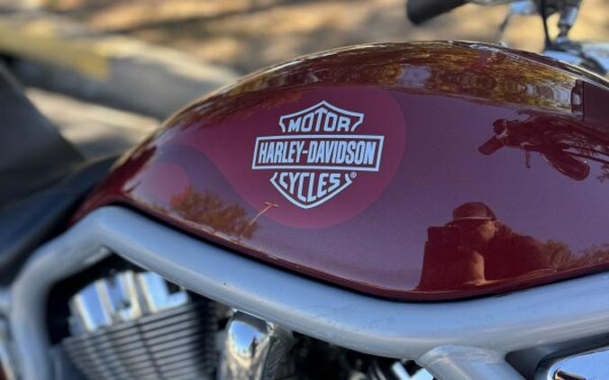 2002 Harley-Davidson® V-Rod®