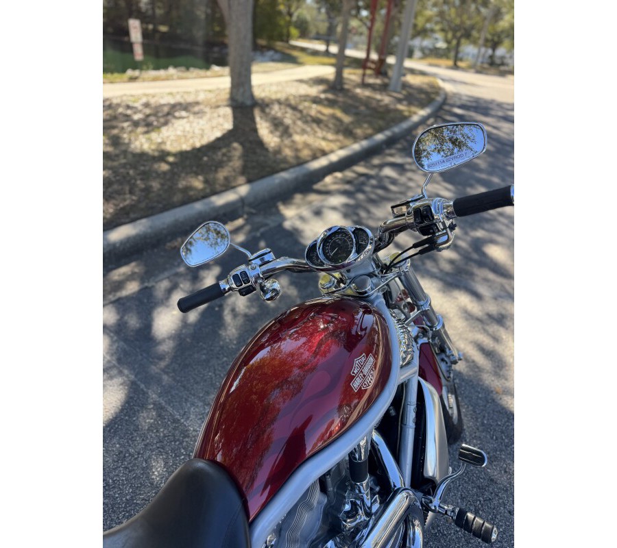 2002 Harley-Davidson® V-Rod®