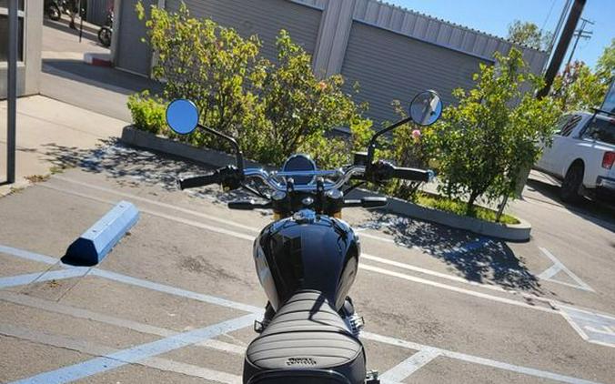 2026 Royal Enfield Bear 650 Golden Shadow