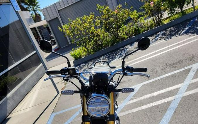 2026 Royal Enfield Bear 650 Golden Shadow