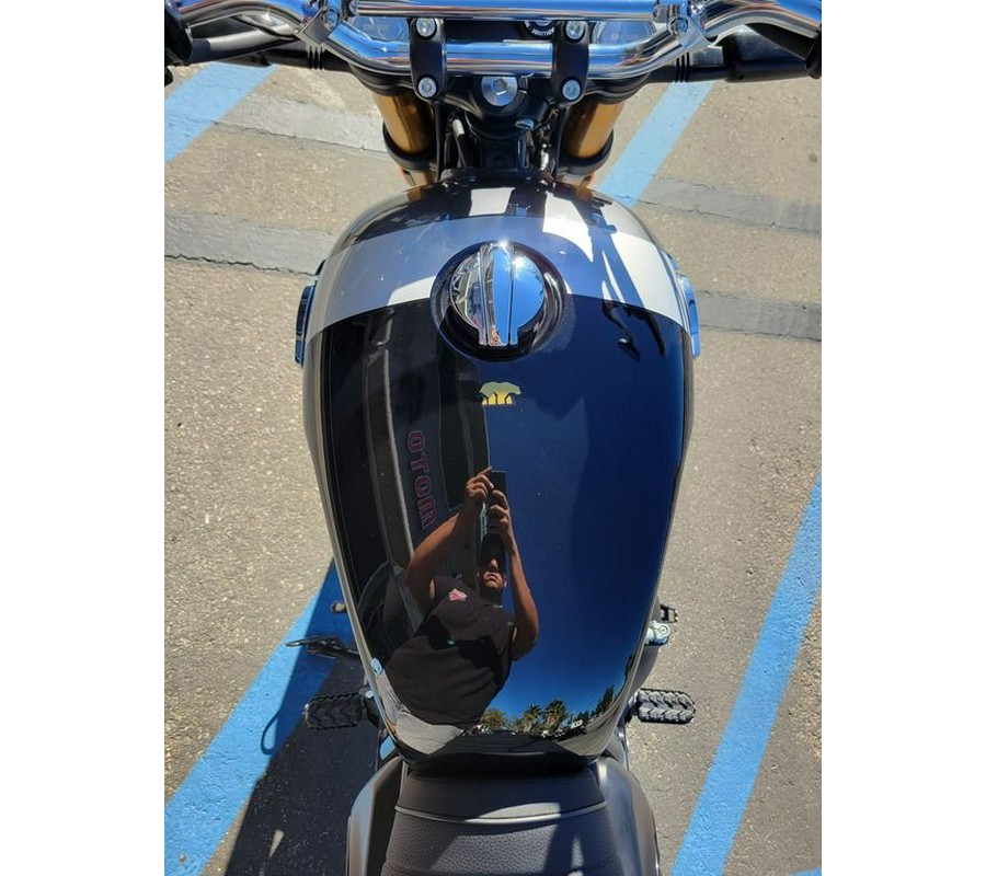 2026 Royal Enfield Bear 650 Golden Shadow