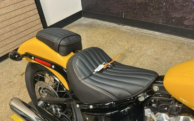 2025 Harley-Davidson Street Bob