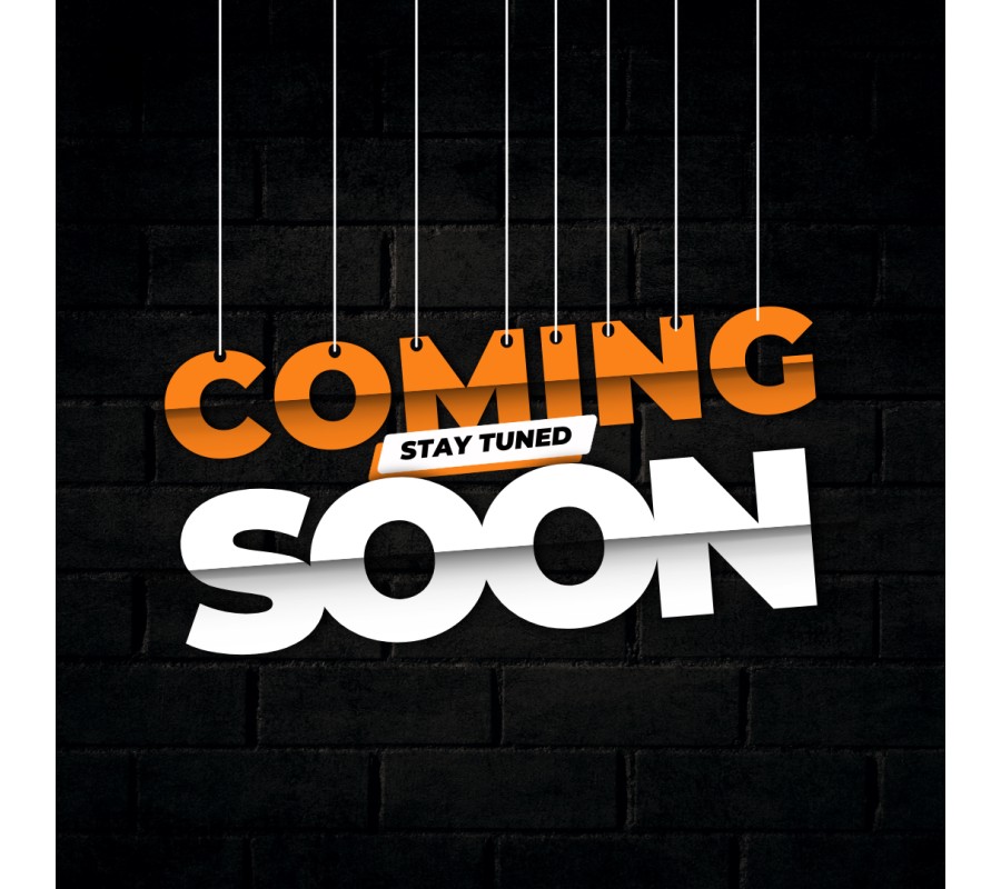 FXLR 2019 Low Rider®