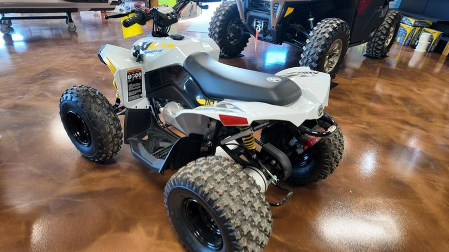 2025 Can-Am® Renegade 110 EFI