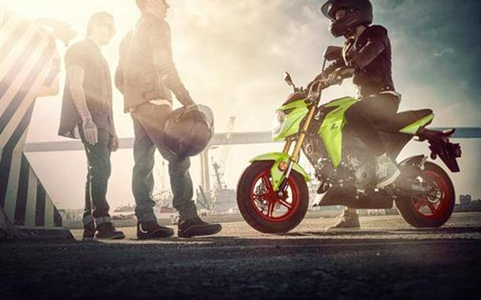 2026 Kawasaki Z125 Pro