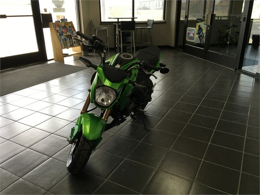 2017 Kawasaki Z125 PRO