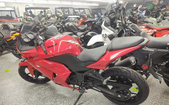 2010 Kawasaki Ninja 250