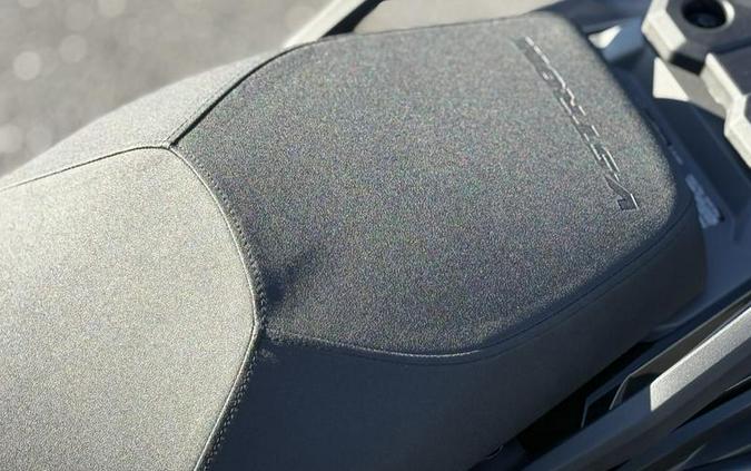 2025 Suzuki V-STROM 800DE