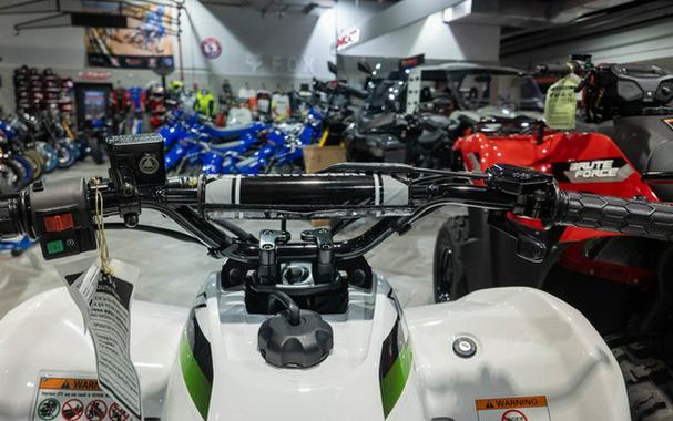 2027 Kawasaki KFX 90