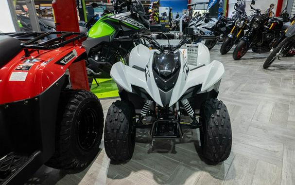 2027 Kawasaki KFX 90