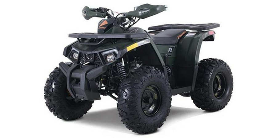 2026 Denago Powersports Mudhawk 10FI