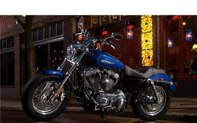 2015 Harley-Davidson 1200 Custom