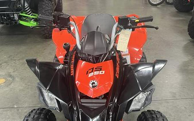 2021 Can-Am® DS 250