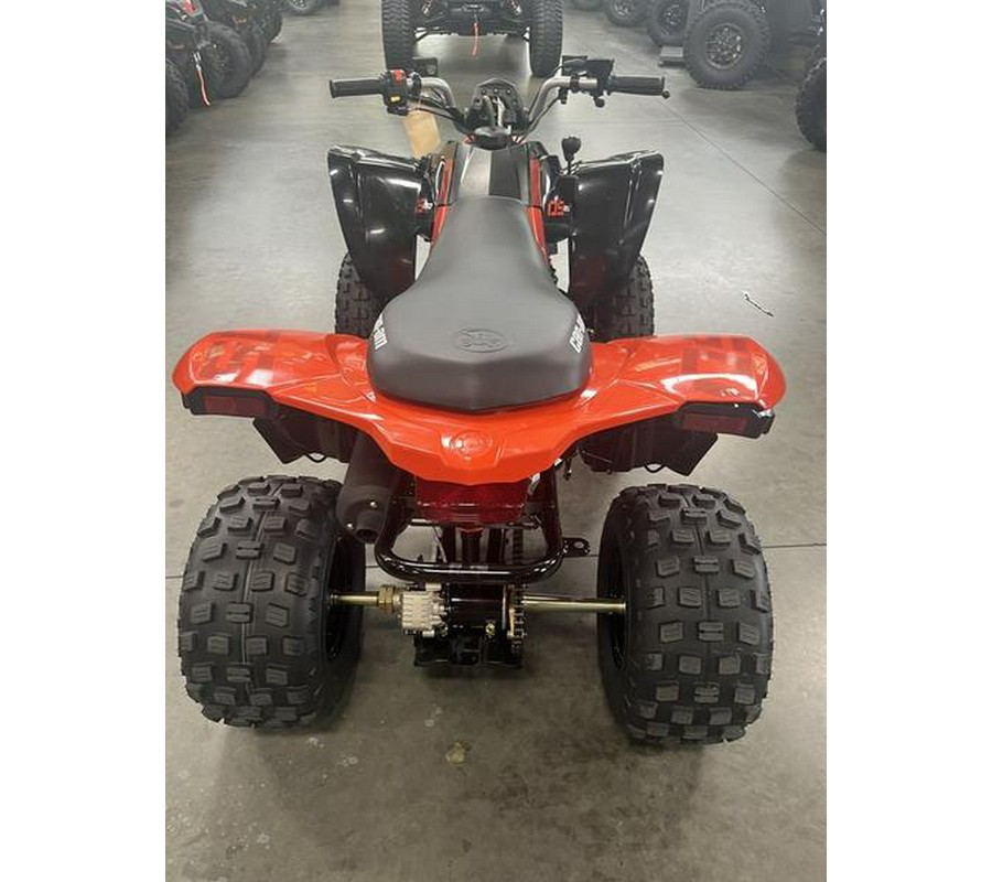 2021 Can-Am® DS 250