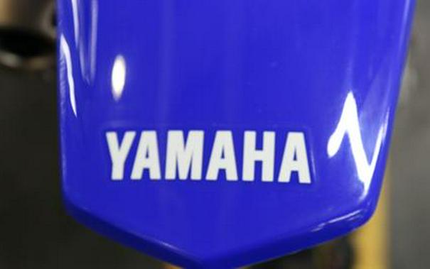 2024 Yamaha TT-R125LE