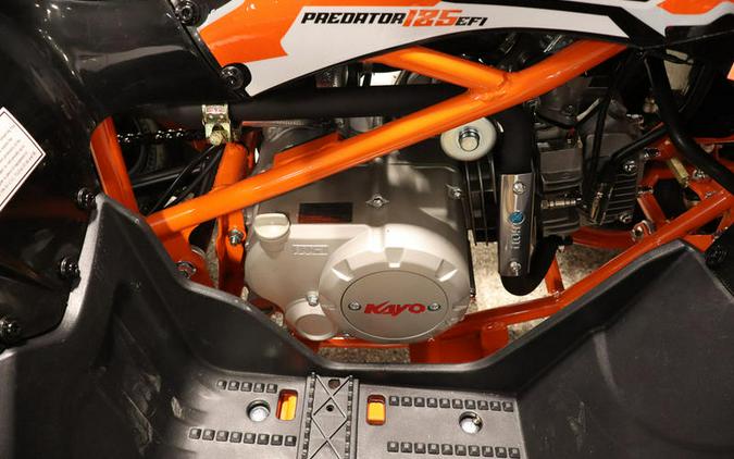 2025 Kayo Predator 125 EFI