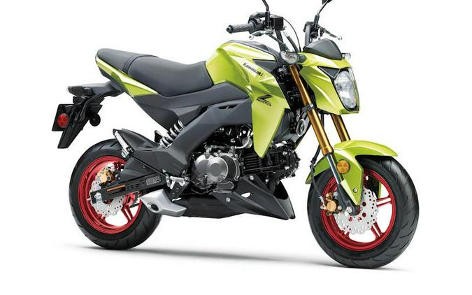 2026 Kawasaki Z125 PRO