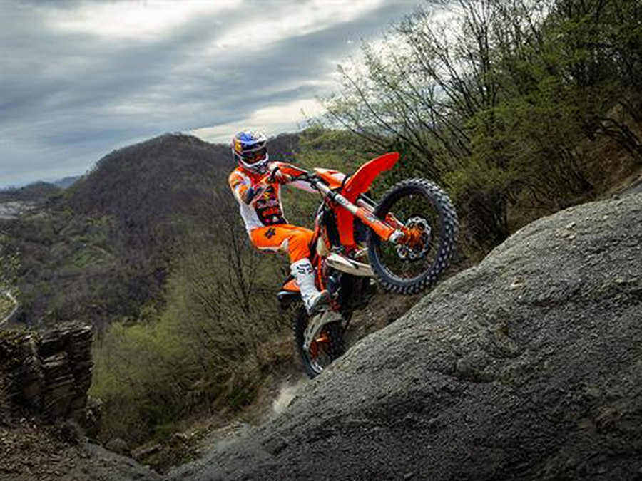 2025 KTM 300 XC-W Hardenduro