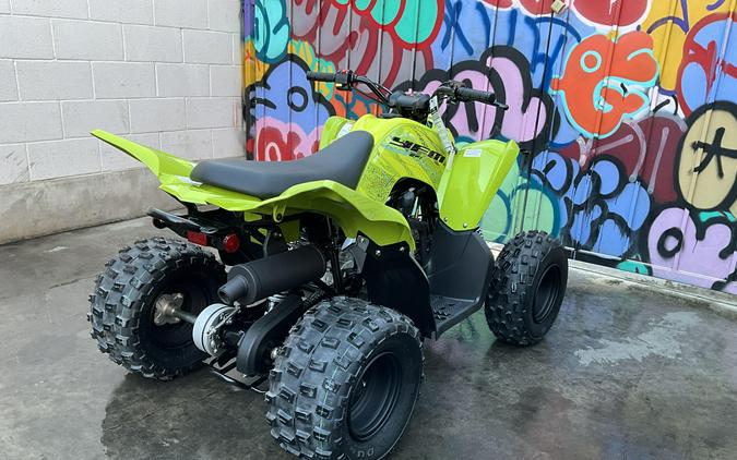 2026 Yamaha Raptor 110