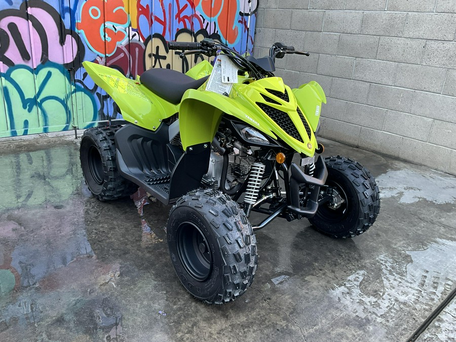 2026 Yamaha Raptor 110