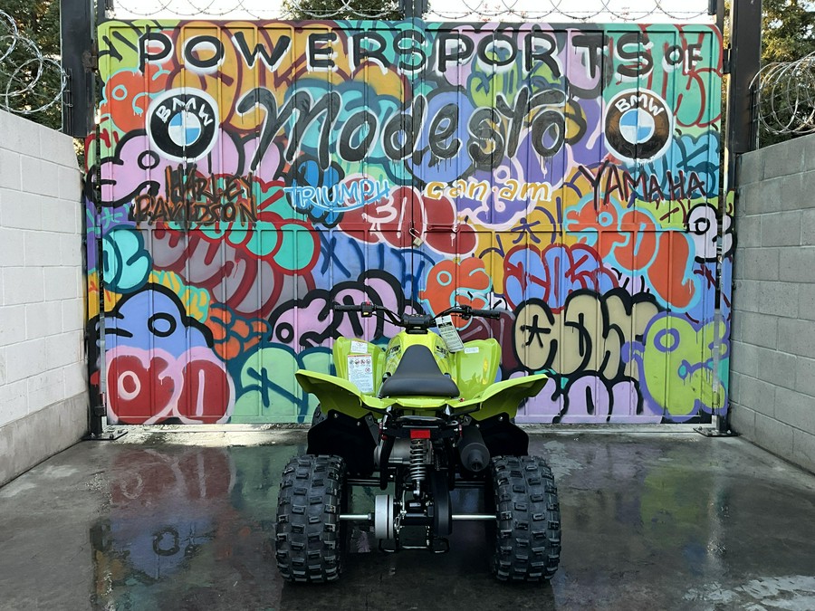 2026 Yamaha Raptor 110