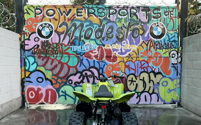 2026 Yamaha Raptor 110