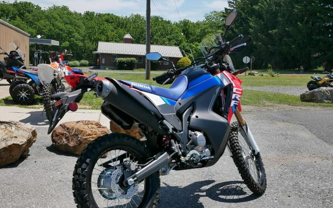 2026 Honda CRF300L Rally